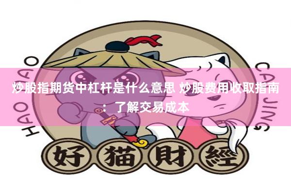 炒股指期货中杠杆是什么意思 炒股费用收取指南：了解交易成本