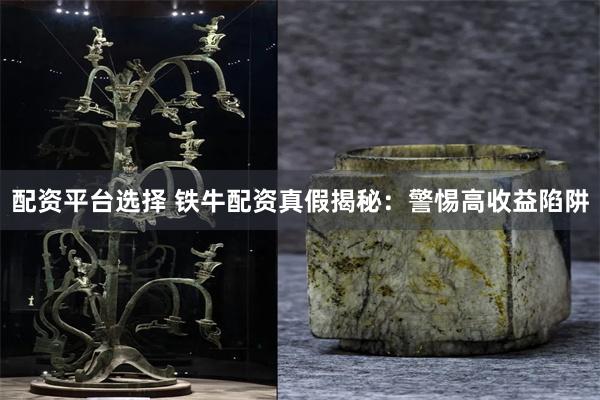 配资平台选择 铁牛配资真假揭秘：警惕高收益陷阱