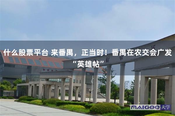 什么股票平台 来番禺，正当时！番禺在农交会广发“英雄帖”