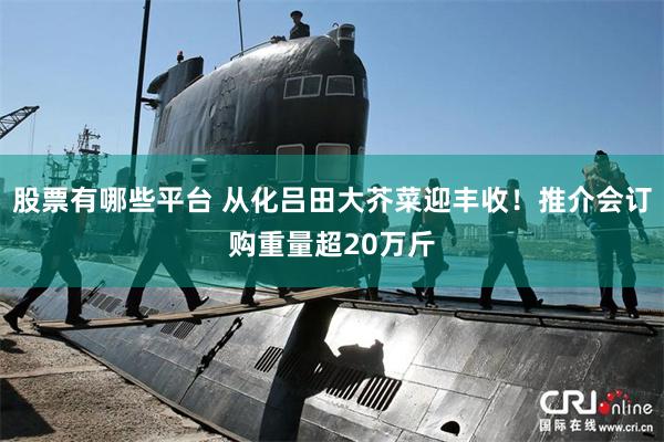股票有哪些平台 从化吕田大芥菜迎丰收！推介会订购重量超20万斤