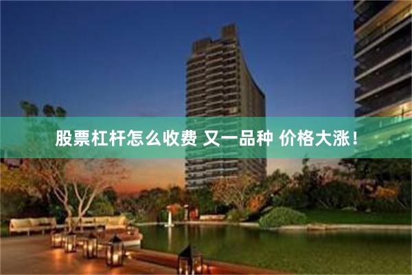 股票杠杆怎么收费 又一品种 价格大涨！
