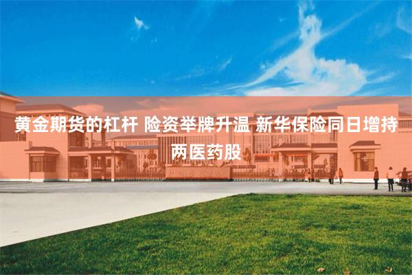 黄金期货的杠杆 险资举牌升温 新华保险同日增持两医药股