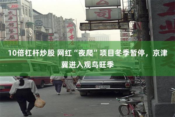 10倍杠杆炒股 网红“夜爬”项目冬季暂停，京津冀进入观鸟旺季