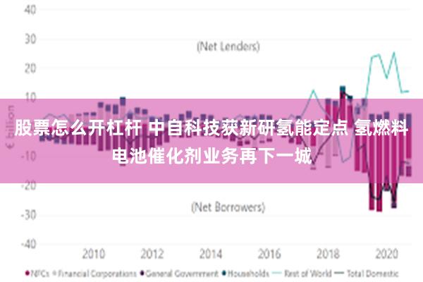 股票怎么开杠杆 中自科技获新研氢能定点 氢燃料电池催化剂业务再下一城