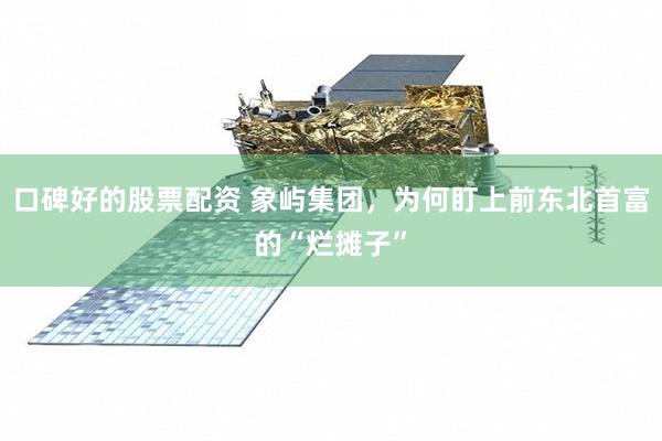 口碑好的股票配资 象屿集团，为何盯上前东北首富的“烂摊子”