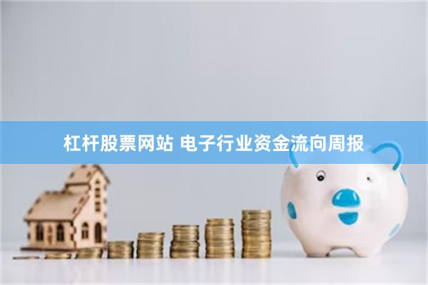 杠杆股票网站 电子行业资金流向周报