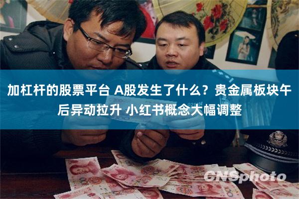 加杠杆的股票平台 A股发生了什么？贵金属板块午后异动拉升 小红书概念大幅调整