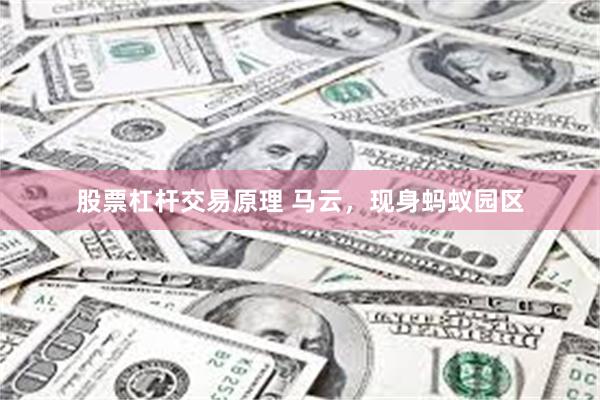 股票杠杆交易原理 马云，现身蚂蚁园区