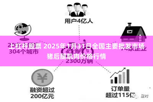 上杠杆股票 2025年1月31日全国主要批发市场猪后腿肌肉价格行情