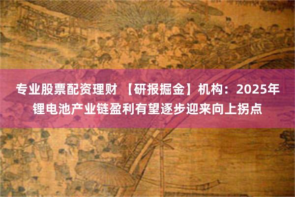 专业股票配资理财 【研报掘金】机构：2025年锂电池产业链盈利有望逐步迎来向上拐点