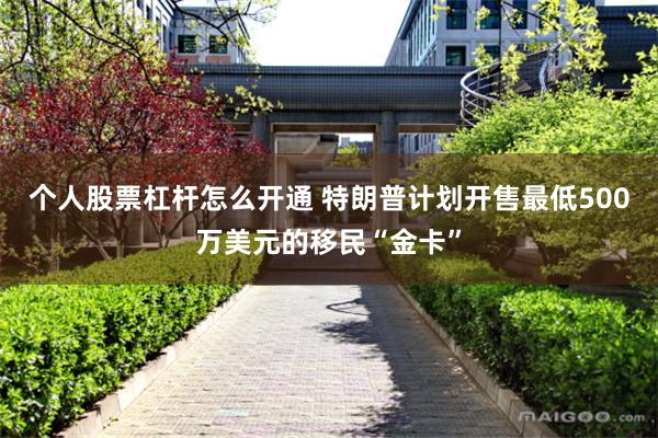 个人股票杠杆怎么开通 特朗普计划开售最低500万美元的移民“金卡”