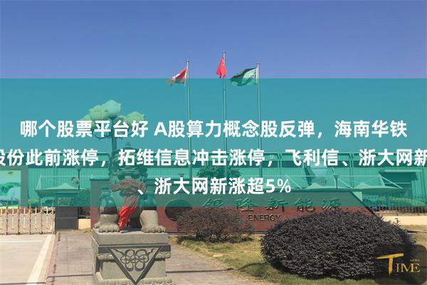 哪个股票平台好 A股算力概念股反弹，海南华铁、恒润股份此前涨停，拓维信息冲击涨停，飞利信、浙大网新涨超5%
