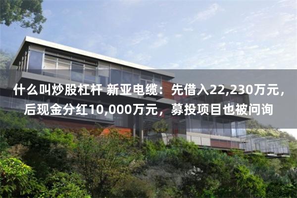 什么叫炒股杠杆 新亚电缆：先借入22,230万元，后现金分红10,000万元，募投项目也被问询