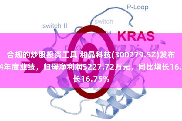 合规的炒股投资工具 和晶科技(300279.SZ)发布2024年度业绩，归母净利润5227.72万元，同比增长16.75%