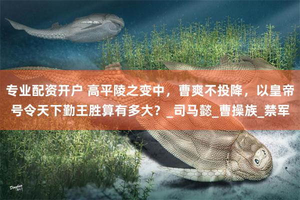 专业配资开户 高平陵之变中，曹爽不投降，以皇帝号令天下勤王胜算有多大？_司马懿_曹操族_禁军