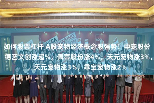 如何股票杠杆 A股宠物经济概念股强势！中宠股份涨7%再创新高，德艺文创涨超%，佩蒂股份涨4%，天元宠物涨3%，乖宝宠物涨2%