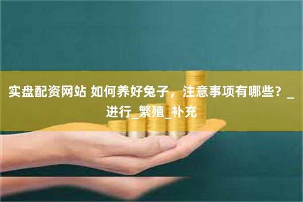 实盘配资网站 如何养好兔子，注意事项有哪些？_进行_繁殖_补充
