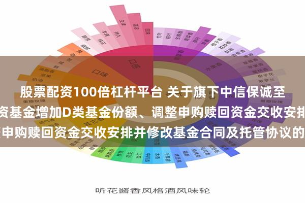 股票配资100倍杠杆平台 关于旗下中信保诚至泰中短债债券型证券投资基金增加D类基金份额、调整申购赎回资金交收安排并修改基金合同及托管协议的公告
