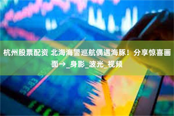 杭州股票配资 北海海警巡航偶遇海豚！分享惊喜画面→_身影_波光_视频