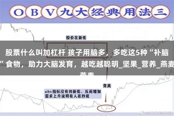 股票什么叫加杠杆 孩子用脑多，多吃这5种“补脑”食物，助力大脑发育，越吃越聪明_坚果_营养_燕麦