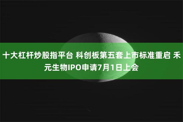 十大杠杆炒股指平台 科创板第五套上市标准重启 禾元生物IPO申请7月1日上会