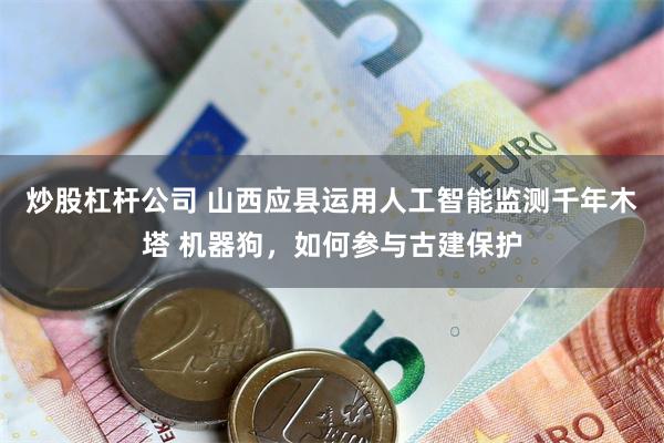 炒股杠杆公司 山西应县运用人工智能监测千年木塔 机器狗，如何参与古建保护