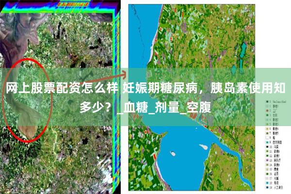 网上股票配资怎么样 妊娠期糖尿病，胰岛素使用知多少？_血糖_剂量_空腹