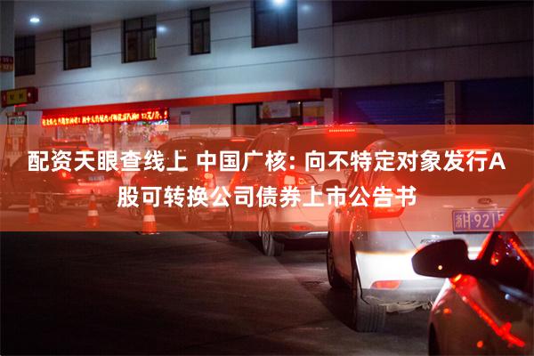 配资天眼查线上 中国广核: 向不特定对象发行A股可转换公司债券上市公告书