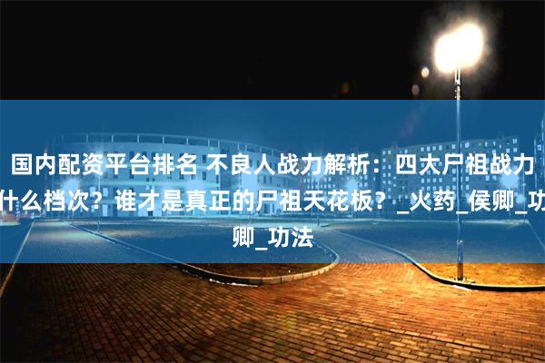 国内配资平台排名 不良人战力解析：四大尸祖战力是什么档次？谁才是真正的尸祖天花板？_火药_侯卿_功法