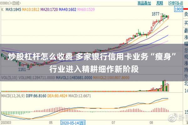 炒股杠杆怎么收费 多家银行信用卡业务“瘦身” 行业进入精耕细作新阶段