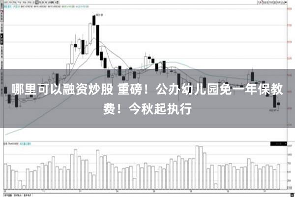 哪里可以融资炒股 重磅！公办幼儿园免一年保教费！今秋起执行