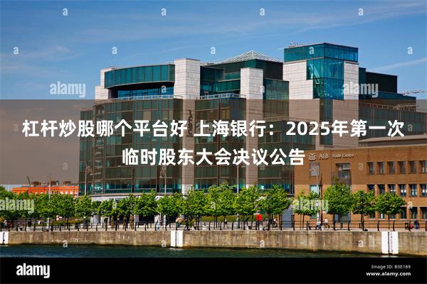 杠杆炒股哪个平台好 上海银行：2025年第一次临时股东大会决议公告