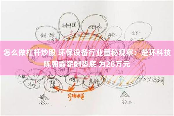 怎么做杠杆炒股 环保设备行业董秘观察：楚环科技陈朝霞薪酬垫底 为28万元