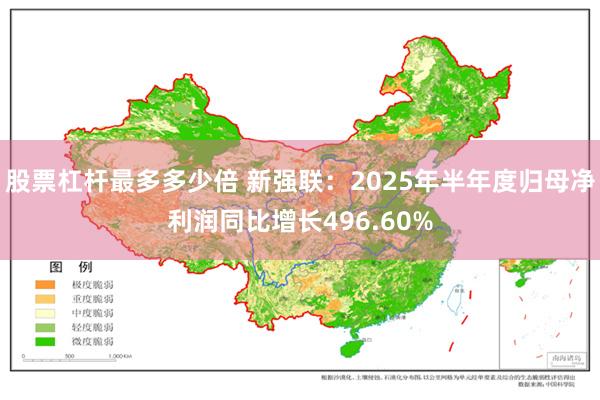 股票杠杆最多多少倍 新强联：2025年半年度归母净利润同比增长496.60%